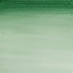 Hooker's Green Dark